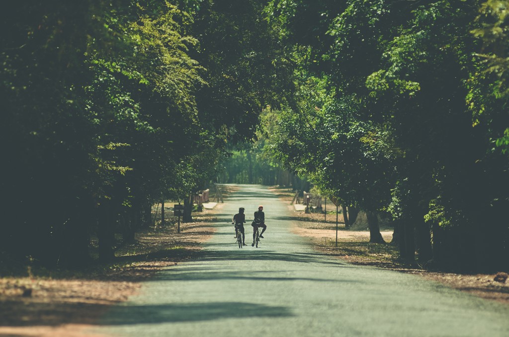 Con đường tới đền Taprom đem lại cảm giác thanh thản và yên tĩnh.